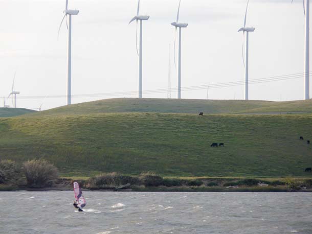 Windsurfer in the Delta